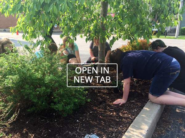 Community Action Day 2018